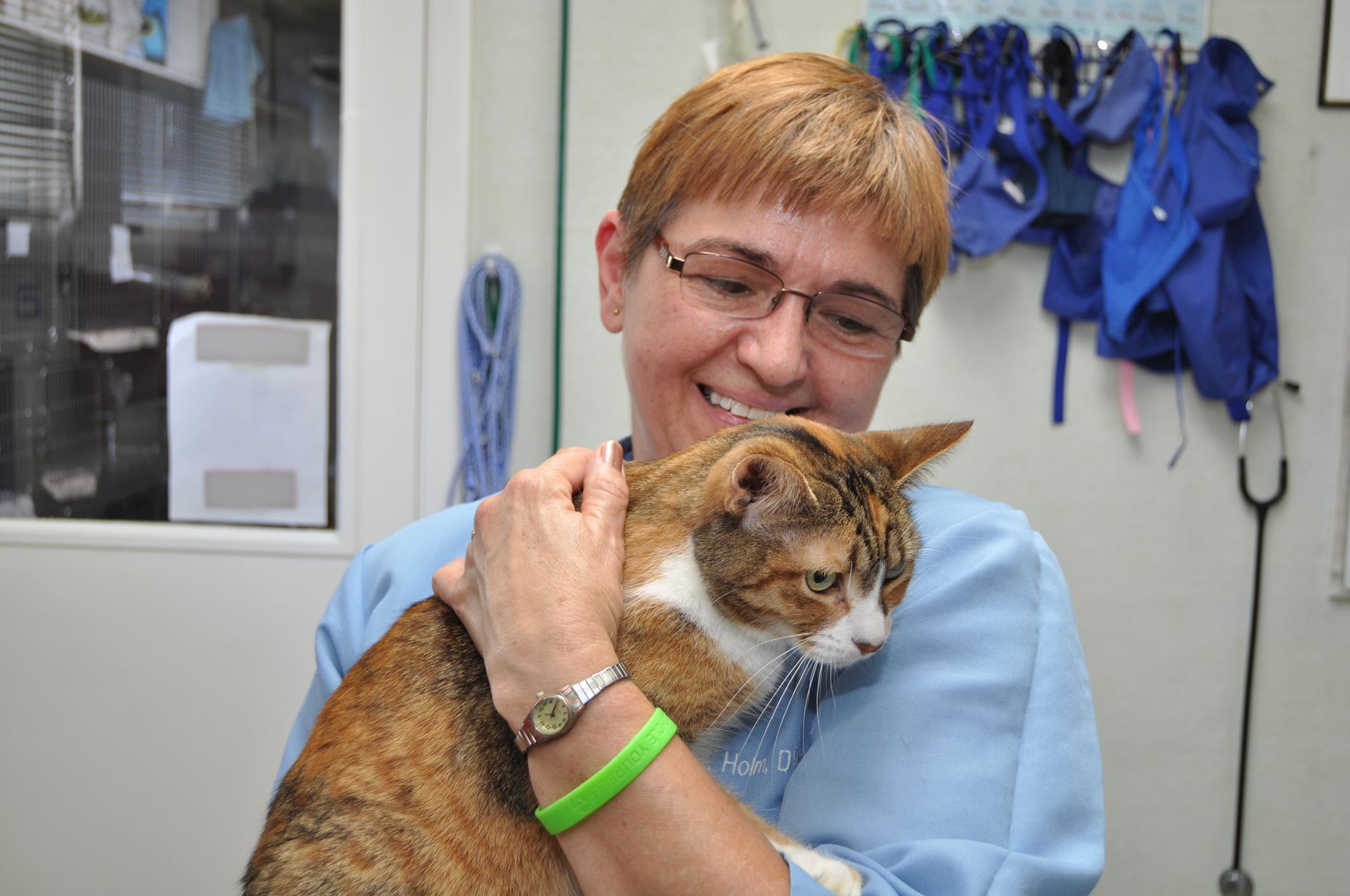 About Auburn Animal Clinic