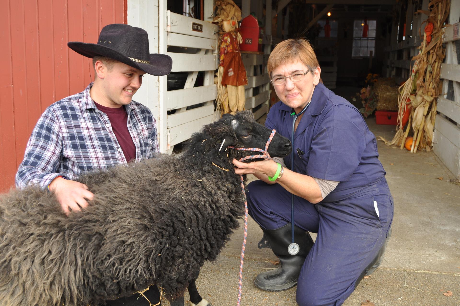 Our Team Auburn Animal Clinic