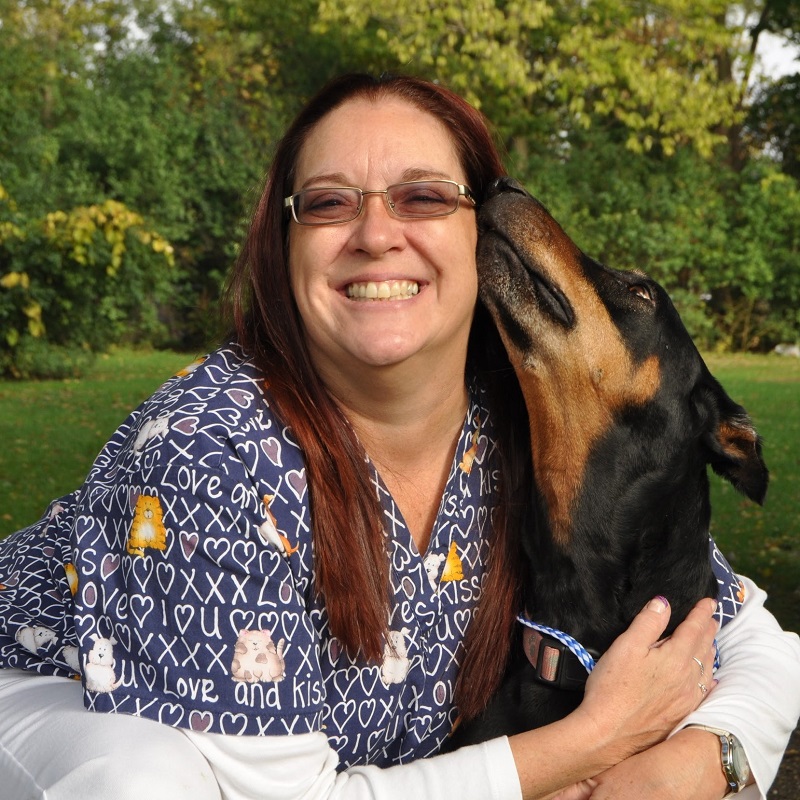 Our Team Auburn Animal Clinic